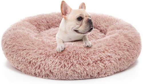 What Pet Bed should I get? – Your Ultimate Guide to Pet Comfort