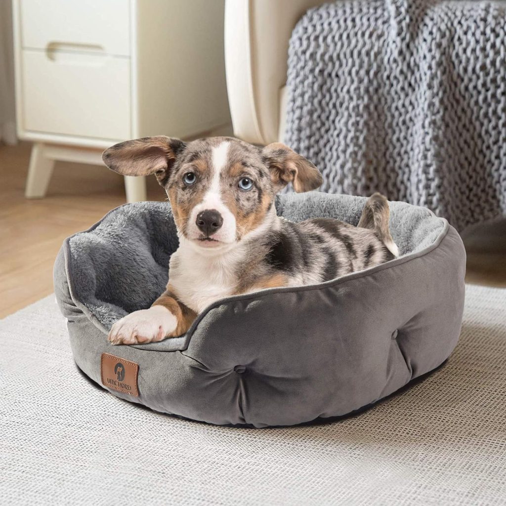 Asvin Small Dog Bed for Small Dogs, Cat Beds for Indoor Cats, Pet Bed for Puppy and Kitty, Extra Soft  Machine Washable with Anti-Slip  Water-Resistant Oxford Bottom, Grey, 20 inches