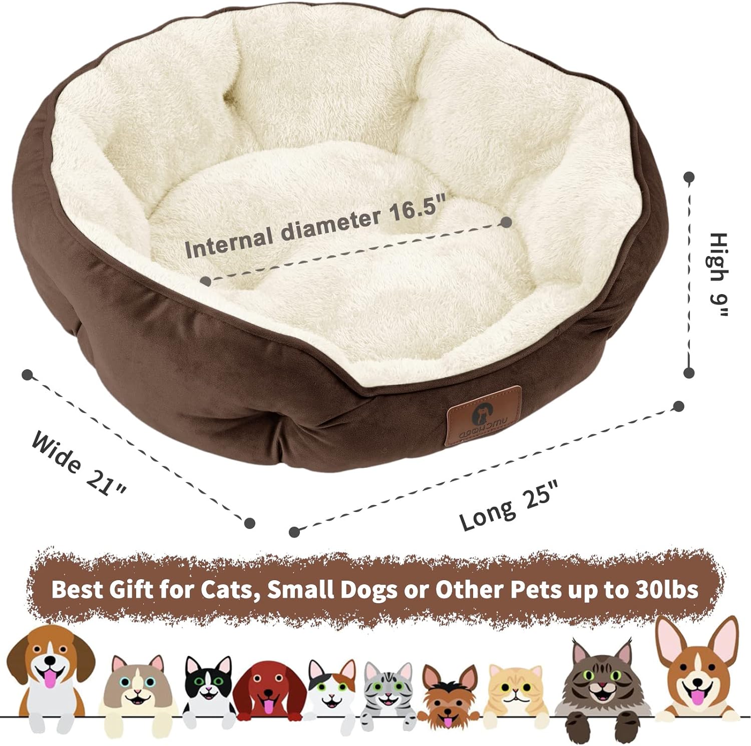 Asvin Small Dog Bed Review