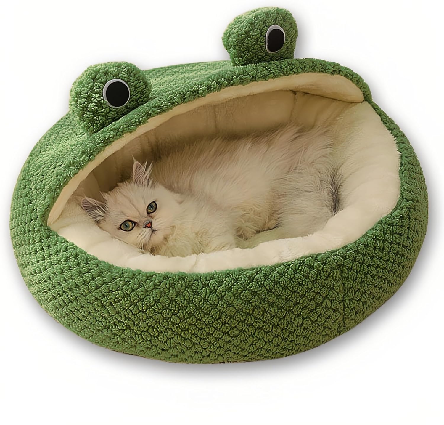 Cute Frog Pet Bed Review
