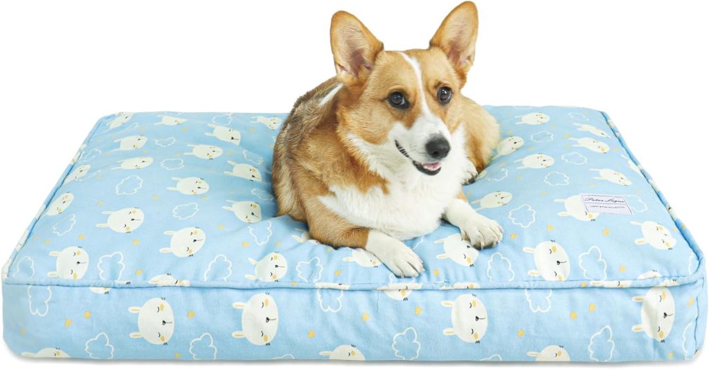 Patas Lague Soft Dog Bed for Small Dogs with Supportive Sides, Rectangle Washable Dog Sofa Bed Cat Bed with Anti-Slip Bottom, Calming Anti-Anxiety Pet Cuddler Bed, Blue Cat 24x18 in