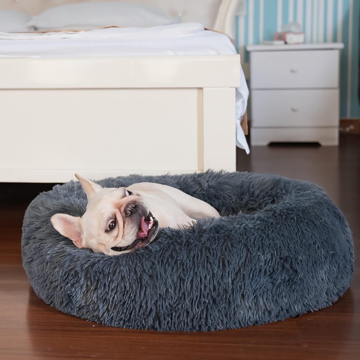 Small Calming Dogs Bed Review