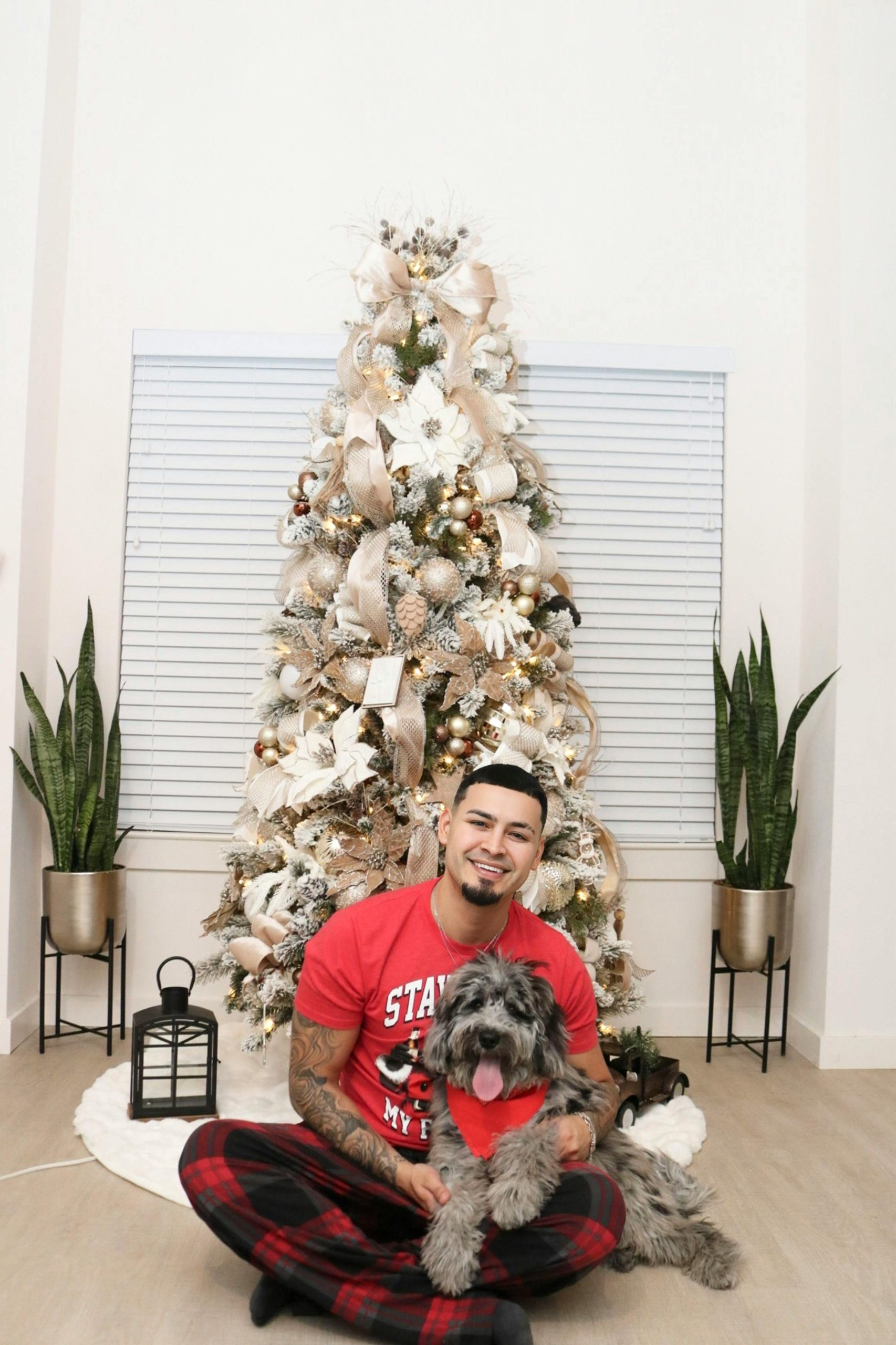 Donut Dog Bed Cat Bed Fluffy Calming Pet Bed Dog Round Bed Cat Round Bed Warm Kitten Nest Ideal for 3Kg Pet, Small, Dark Light