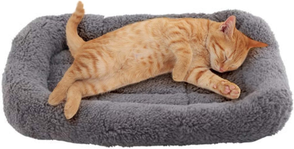 Enjoying Cat Mat Bed 10 x 15 Pet Bed with Pillow Around for Puppy Kitten Curled Sleeping Beds for Carrier/Crate Small Dog Cushion, Anti Skid Bottom, Small Enjoying Cat Mat Bed 10 x 15 Pet Bed with Pillow Around for Puppy Kitten Curled Sleeping Beds for Carrier/Crate Small Dog Cushion, Anti Skid Bottom, Small