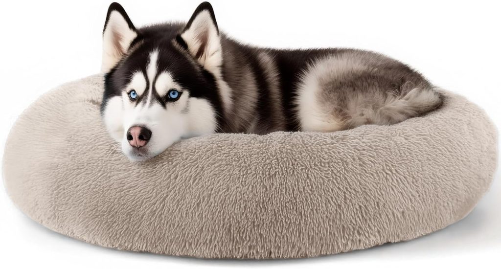 Hoewina Dog  Cat Bed for Indoor Cats, 20in Calming Donut Bed for Puppy and Kitten, Washable Round Fluffy Pet Bed for Small Medium Dogs and Cats (Light Grey)