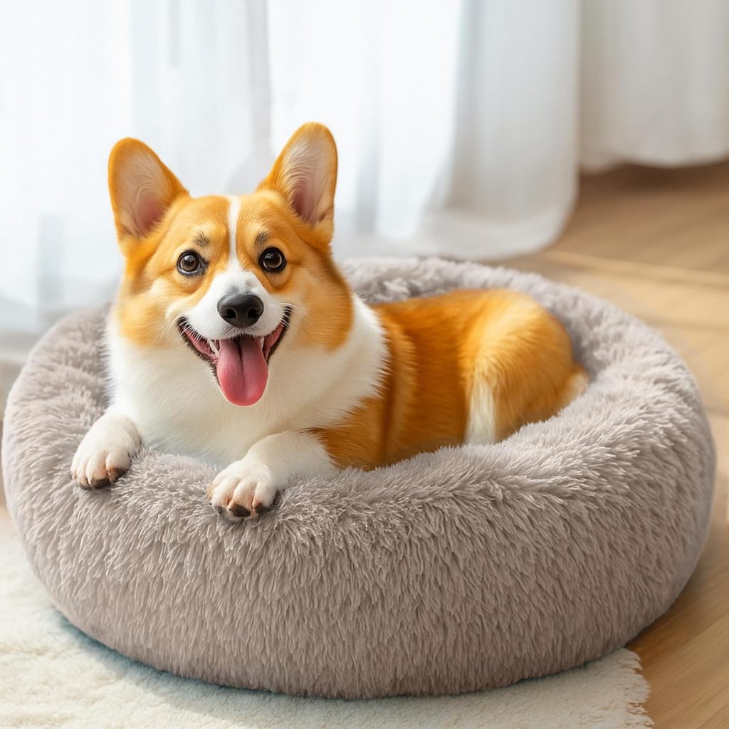 Hoewina Dog  Cat Bed for Indoor Cats, 20in Calming Donut Bed for Puppy and Kitten, Washable Round Fluffy Pet Bed for Small Medium Dogs and Cats (Light Grey)