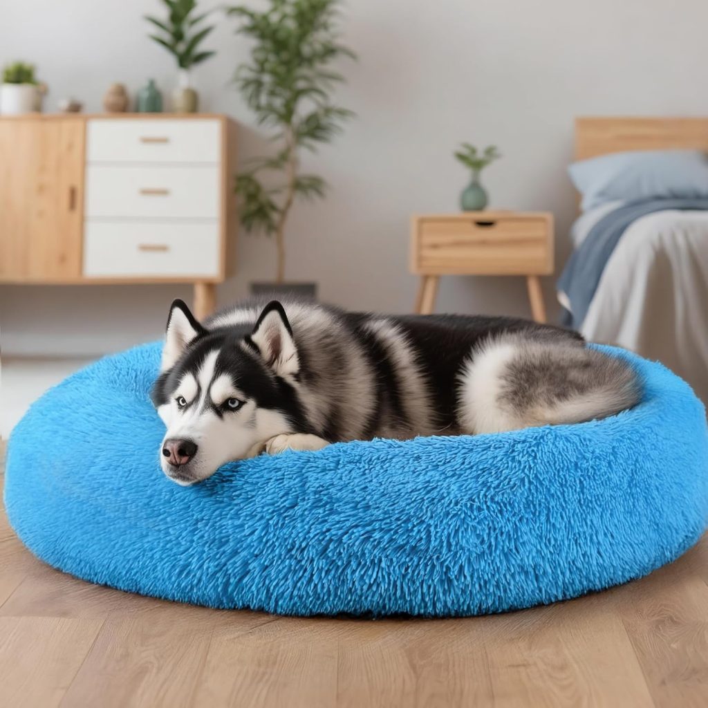 Hoewina Dog  Cat Bed for Indoor Cats, 20in Calming Donut Bed for Puppy and Kitten, Washable Round Fluffy Pet Bed for Small Medium Dogs and Cats (Light Grey)