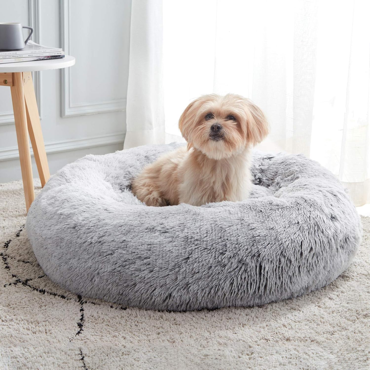 WESTERN HOME WH Calming Dog & Cat Bed review