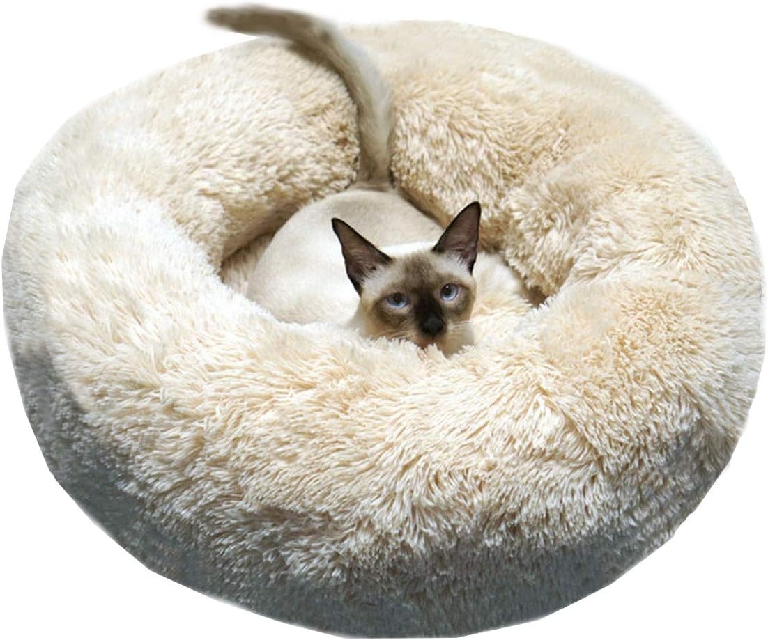 BODISEINT Modern Soft Plush Round Pet Bed for Cats or Small Dogs, Mini Medium Sized Dog Cat Bed Self Warming Autumn Winter Indoor Snooze Sleeping Cozy Kitty Teddy Kennel (20 D x 8 H, Hot Pink)