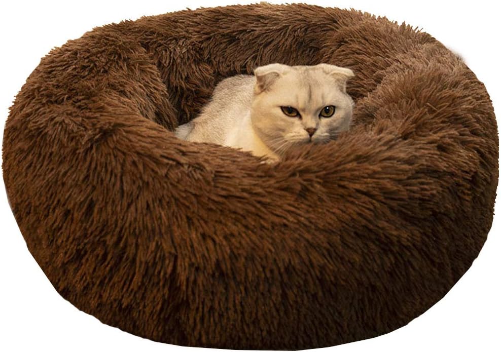 BODISEINT Modern Soft Plush Round Pet Bed for Cats or Small Dogs, Mini Medium Sized Dog Cat Bed Self Warming Autumn Winter Indoor Snooze Sleeping Cozy Kitty Teddy Kennel (20 D x 8 H, Hot Pink)
