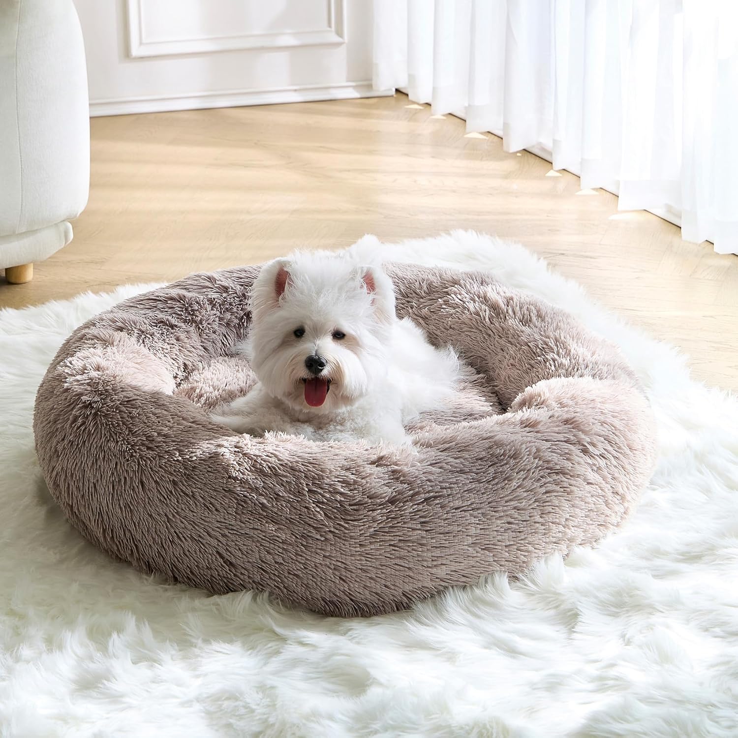 Calming Small Dog Bed review