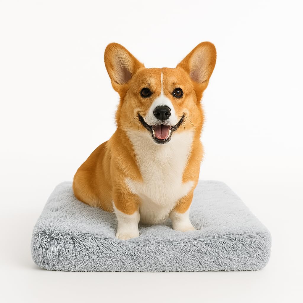 Dog Bed, pet beds (Small) - Premium Quality, Washable  Portable, Eco-Friendly, Multiple Sizes, Stylish Design, Removable Cover, Size Small(15.75 X 11.81 X 2) inch