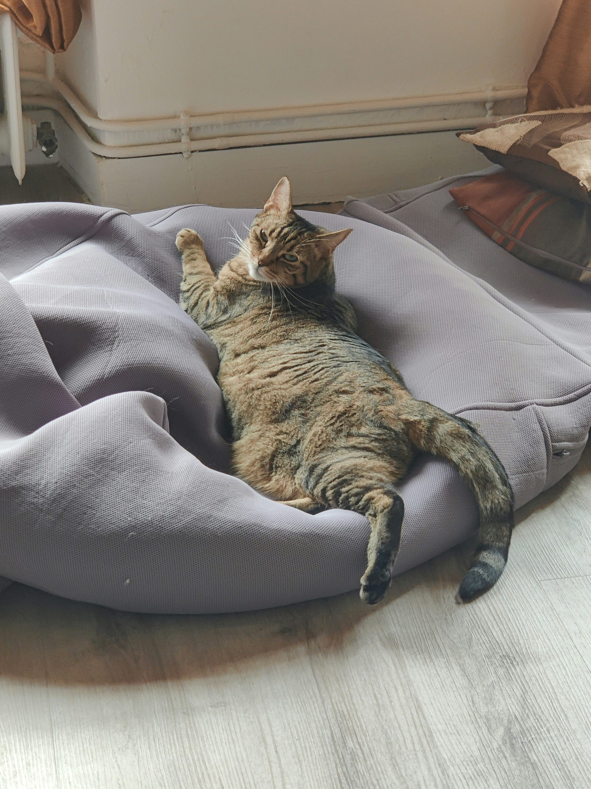 KH Pet Products Pet Bed Warmer, Turn Any Pet Bed Into a Heated Cat or Dog Bed, Waterproof Indoor Heated Warming Pad Insert, Automatic Temperature, Safety Listed - Small 9 X 8.5in Tan