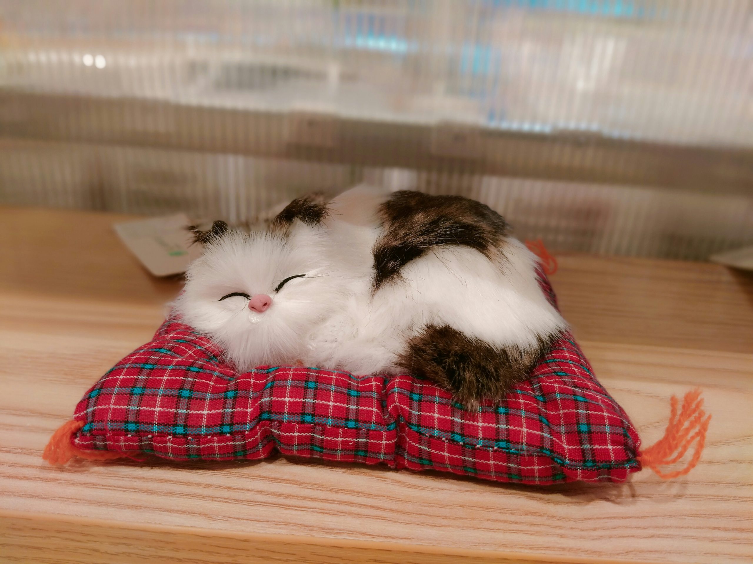 MARUNDA Heated Cats Bed for Indoor Use, Electric Heated Pets Heating for and Small Dogs, Washable Pets Bed with Automatic Heating Pad (23x20x7 Grey) MARUNDA Heated Cats Bed for Indoor Use, Electric Heated Pets Heating for and Small Dogs, Washable Pets Bed with Automatic Heating Pad (23x20x7 Grey)