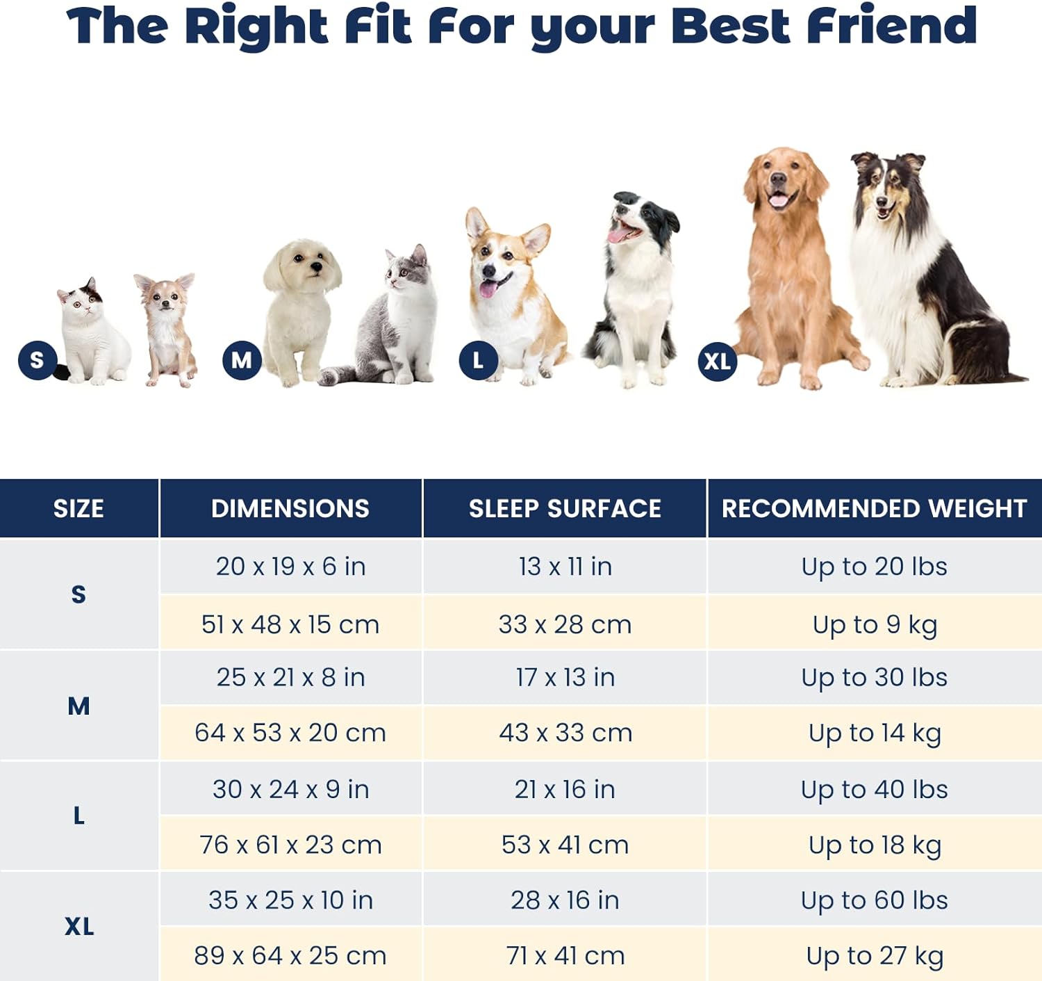 Miguel Small Dog  Cat Bed, Washable Removable Cover, Square, Cuddle Rectangle Pet Bed with Side Bolster, Blue, 20 Inch