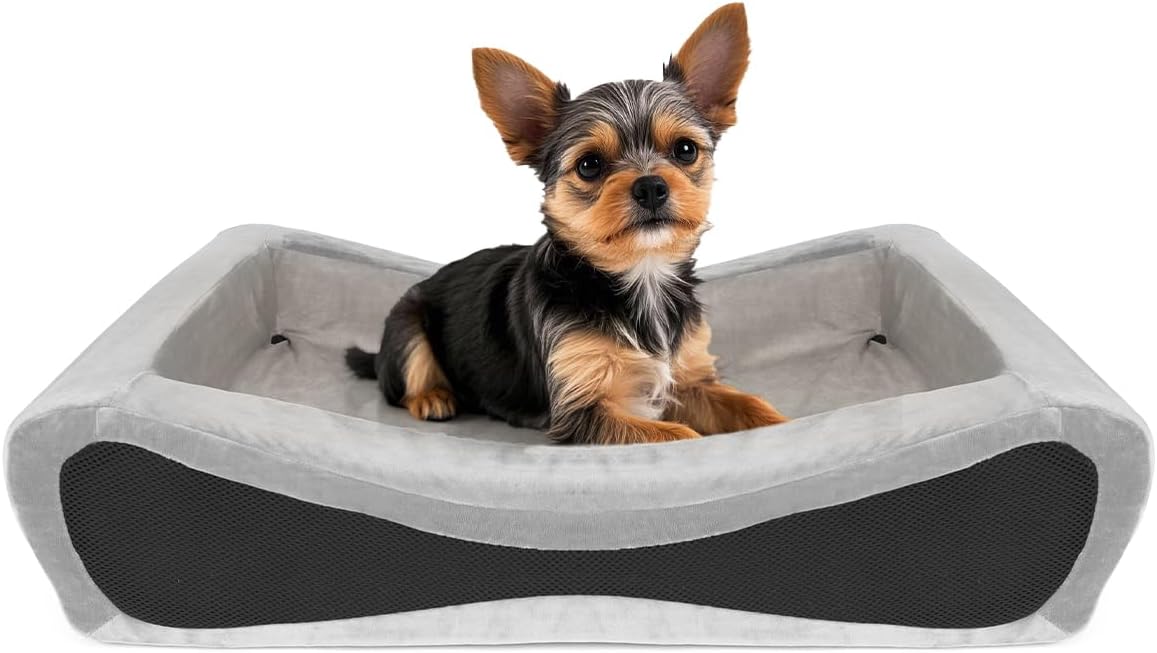 NPET Memory Foam Pet Beds for Small Medium Dogs, Orthopedic Dog Beds with Sides, Cat Bed Mat with Washable Removable Cover, 26x18x6.7 inches NPET Memory Foam Pet Beds for Small Medium Dogs, Orthopedic Dog Beds with Sides, Cat Bed Mat with Washable Removable Cover, 26x18x6.7 inches