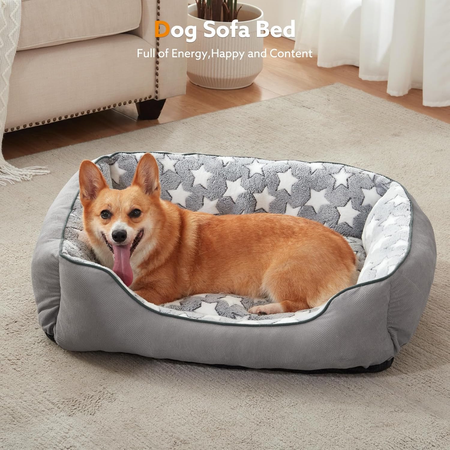 SIWA MARY Rectangle Dog Bed S (20x19x6) review