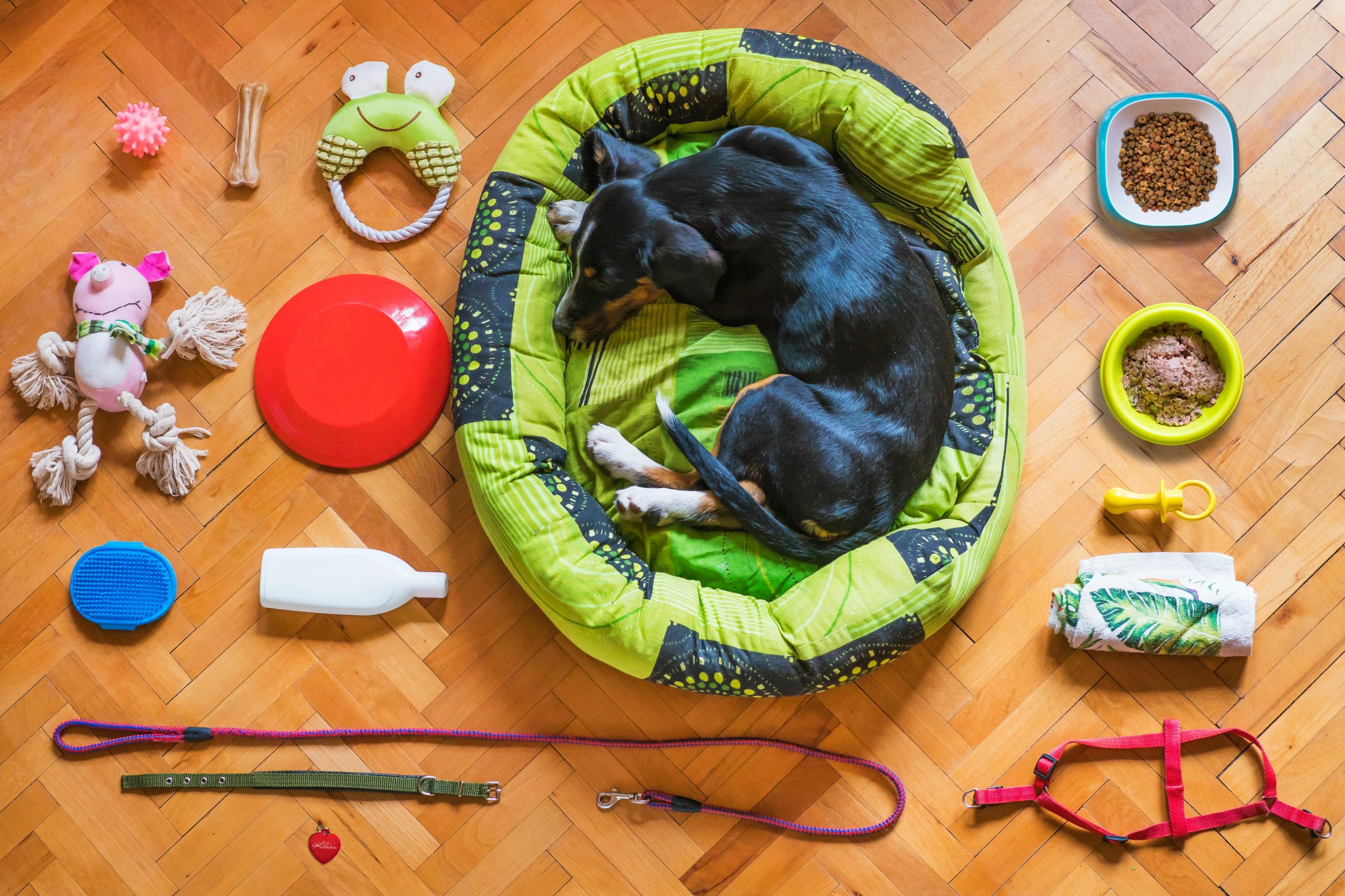 Soft Cotton Pet Beds For Healthy Sleep