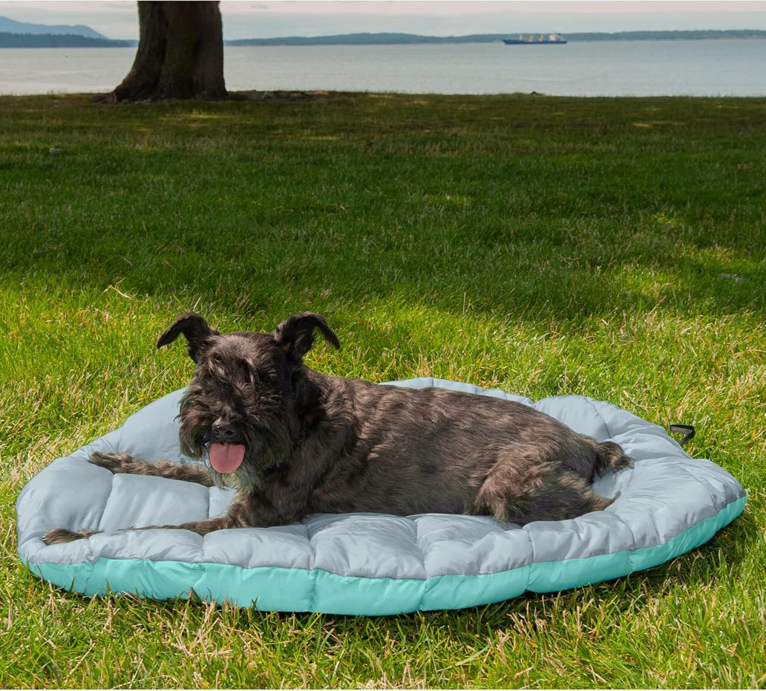Furhaven Outdoor Travel Dog Bed for Small Dogs w/ Carry Bag, Washable  Foldable, Great for Crates  Kennels - Trail Pup Travel Pillow Mat w/ Stuff Sack Bag - Aqua/Granite Gray, Small
