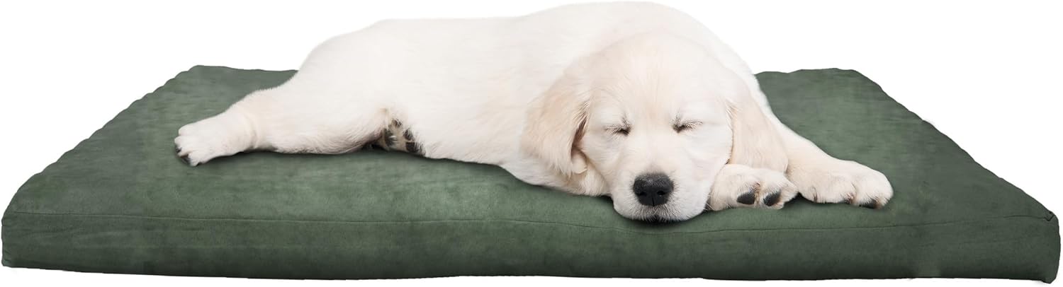 Water-Resistant Dog Bed - Orthopedic Dog Bed with Removable Washable Cover, Non-Slip Bottom, and Egg Crate Style Foam - 25.5in Small Pet Bed - Puppy Essentials by PETMAKER (Green) Water-Resistant Dog Bed - Orthopedic Dog Bed with Removable Washable Cover, Non-Slip Bottom, and Egg Crate Style Foam - 25.5in Small Pet Bed - Puppy Essentials by PETMAKER (Green)
